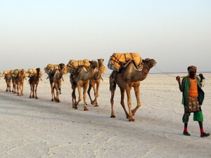 The Middle East’s Data Center Gold Rush: Risk and Opportunity in the World’s Most Contested Digital Frontier