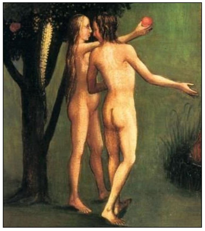 Male and Female – He Created Them by Päivi Räsänen